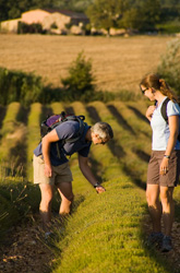 Provence and Costa Brava Spain Walking Hiking trips